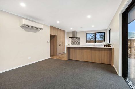 Photo of property in 164a Chalmers Avenue, Hampstead, Ashburton, 7700