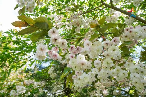 Photo of property in 3233 Wreys Bush-mossburn Road, Mossburn, Lumsden, 9792