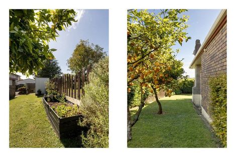 Photo of property in 3 Cambridge Road, Judea, Tauranga, 3110