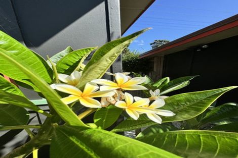 Photo of property in 187 Kuaotunu Wharekaho Road, Kuaotunu, Whitianga, 3592