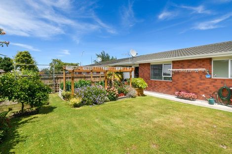 Photo of property in 41 Derby Street, Feilding, 4702