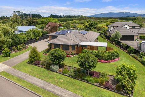 Photo of property in 2 Bransley Grove, Katikati, 3129