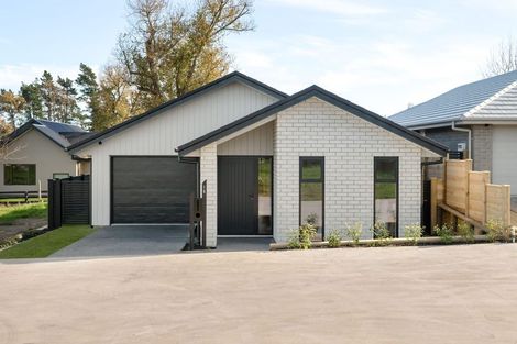 Photo of property in 16 Te Ia Terrace, Cambridge, 3434