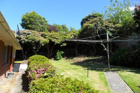 Photo of property in 5 Maori Road, Dunedin Central, Dunedin, 9016