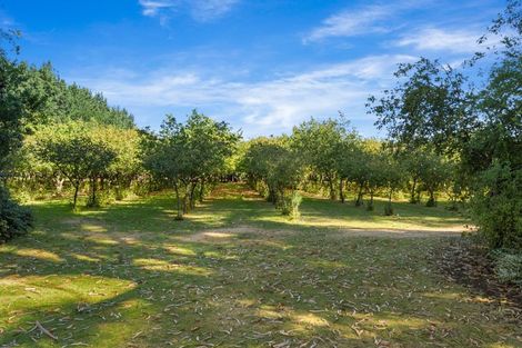 Photo of property in 854 Hoskyns Road, West Melton, Christchurch, 7675