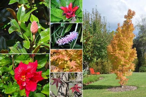 Photo of property in 65 Pahi Road, Paparoa, 0571