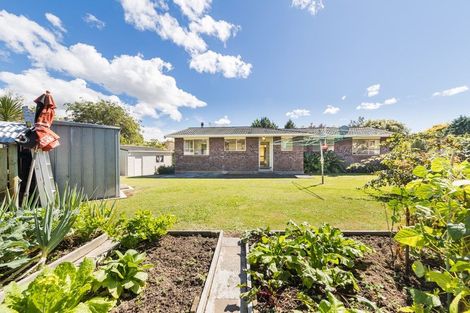 Photo of property in 6-8 East Road, Shannon, 4821