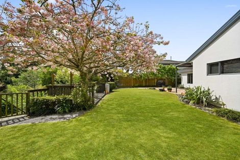 Photo of property in 19 Montrose Crescent, Huntington, Hamilton, 3210