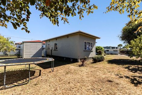 Photo of property in 44 Mckenzie Street, Levin, 5510