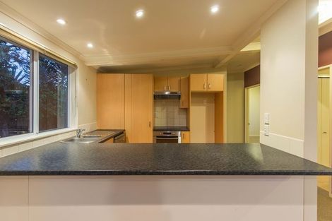 Photo of property in 257a Campbell Road, Greenlane, Auckland, 1061