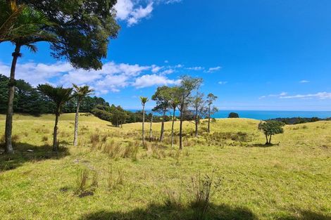 Photo of property in 1702 Colville Road, Amodeo Bay, Coromandel, 3584