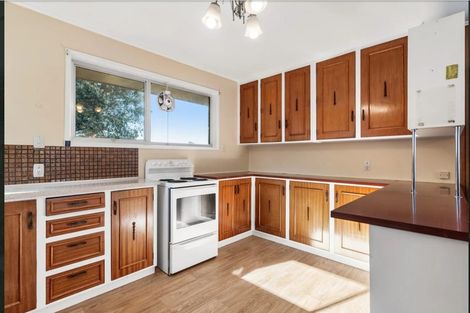 Photo of property in 38 Trevola Street, New Windsor, Auckland, 0600