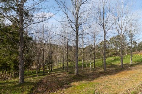Photo of property in 729 Ponga Road, Opaheke, 2584