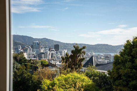 Photo of property in 5/45 Bidwill Street, Mount Cook, Wellington, 6021