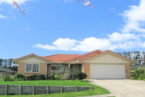 Photo of property in 11 Corwen Avenue, Hairini, Tauranga, 3112