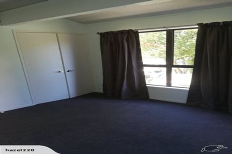 Photo of property in 44 Hazelwood Avenue, Dinsdale, Hamilton, 3204