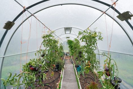 Photo of property in 193 Mason Road, Seaward Bush, Invercargill, 9871