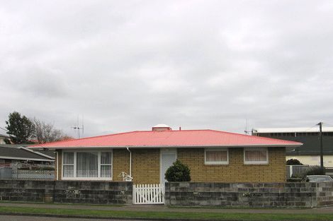 Photo of property in 31 Trafalgar Street, Levin, 5510