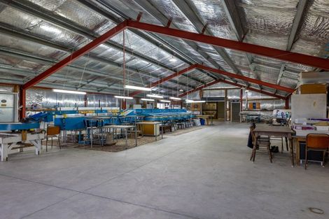 Photo of property in 225 Hoeka Road, Matangi, Hamilton, 3284