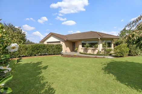 Photo of property in 10 Emmerdale Place, Ohauiti, Tauranga, 3112