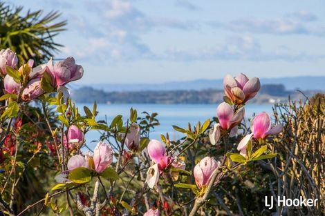 Photo of property in 21 Koutunui Road, Athenree, Katikati, 3177