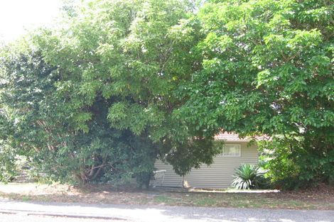 Photo of property in 33 Ayton Drive, Totara Vale, Auckland, 0629