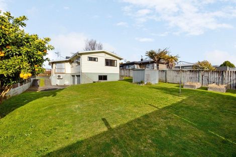 Photo of property in 195 Colgan Street, Te Awamutu, 3800