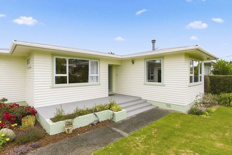 Photo of property in 9 Chester Street, Levin, 5510
