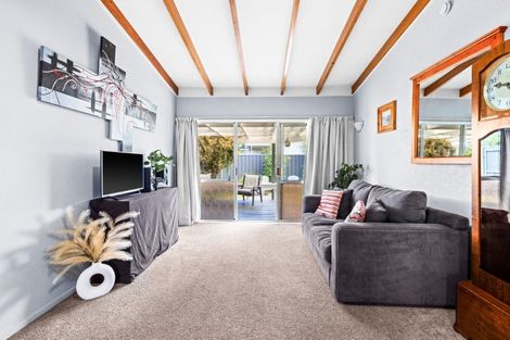 Photo of property in 119 Garnett Street, Raureka, Hastings, 4120