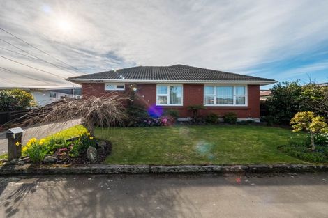 Photo of property in 101 Kaiwara Street, Hoon Hay, Christchurch, 8025