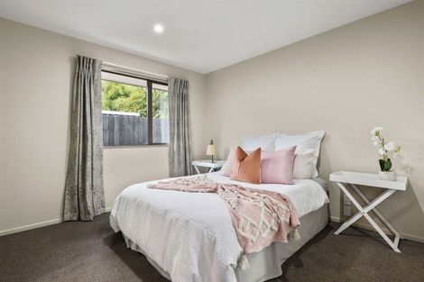 Photo of property in 19 Rubicon Place, Hei Hei, Christchurch, 8042