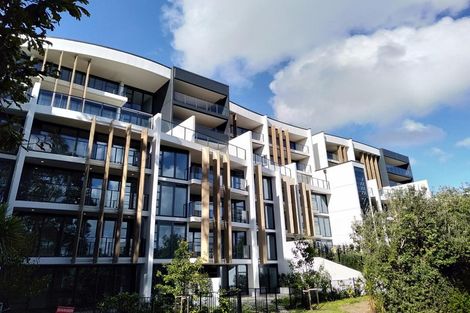 Photo of property in 501/8 Kingsland Terrace, Kingsland, Auckland, 1021