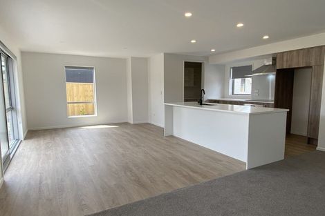 Photo of property in 151 Shillingford Boulevard, Rolleston, 7615