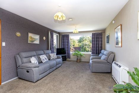 Photo of property in 10 Wolsey Place, Hillmorton, Christchurch, 8025