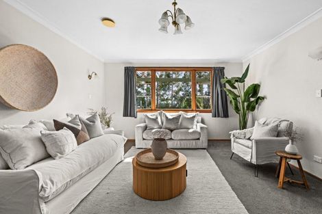 Photo of property in 109a Gascoigne Street, Raureka, Hastings, 4120