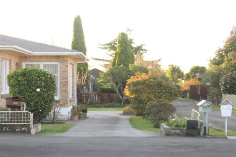 Photo of property in 171 Clarkin Road, Fairfield, Hamilton, 3214