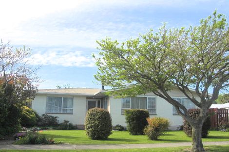 Photo of property in 40 Leefield Street, Blenheim, 7201