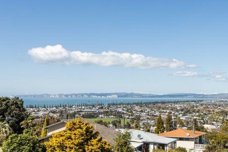 Photo of property in 43 Guys Hill Road, Hospital Hill, Napier, 4110