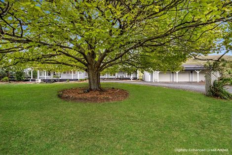 Photo of property in 232 Martin Road, Waerenga, Te Kauwhata, 3781