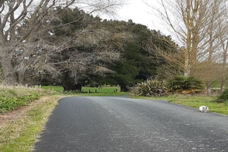 Photo of property in 60 Blackett Road, Otorohanga, 3974