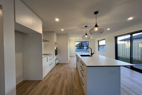 Photo of property in 76 Nethercote Way, Rolleston, 7614