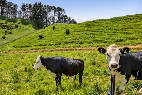 Photo of property in 801 Bird Road, Pukengahu, Stratford, 4393