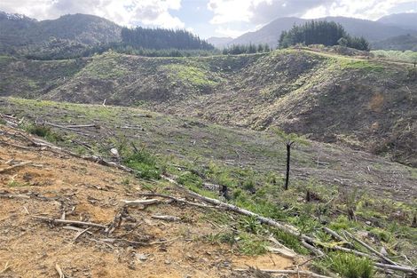 Photo of property in 1870 The 309 Road, Kaimarama, Whitianga, 3591