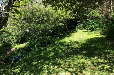 Photo of property in 19 Priscilla Crescent, Mornington, Wellington, 6021