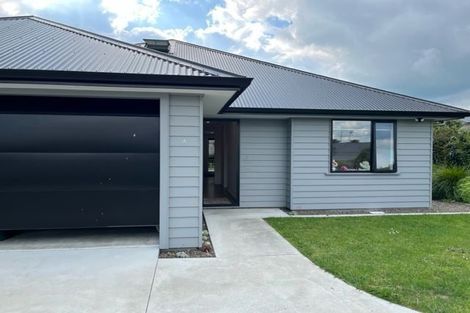 Photo of property in 271 Williams Street, Te Awamutu, 3800
