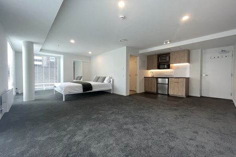 Photo of property in Pinnacle Apartments, W303/160 Victoria Street, Te Aro, Wellington, 6011