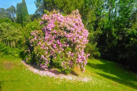 Photo of property in 20 Clyde Street, Dargaville, 0310