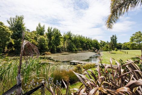 Photo of property in 291 Napier Road, Kelvin Grove, Palmerston North, 4470