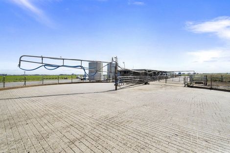 Photo of property in 145 Campbells Road, Pine Hill, Dunedin, 9010