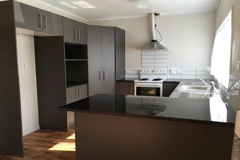 Photo of property in 223 Puhinui Road, Papatoetoe, Auckland, 2025